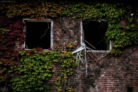 /album/miljo/dsc-0152-copy-jpg/